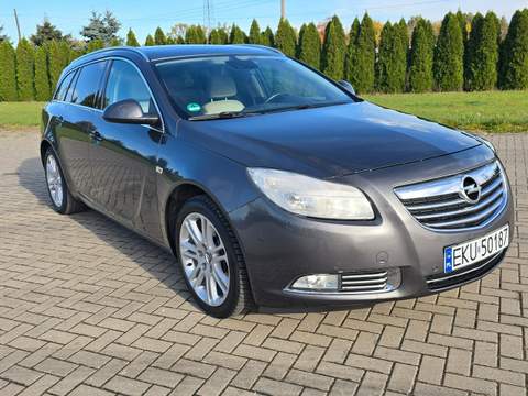 Opel Insignia I 2010 — zdjęcie 2