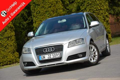 Audi A3 II (8P) facelifting 2 2009 — zdjęcie 1