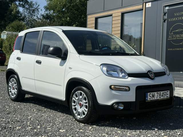 Fiat Panda III 2024 — zdjęcie 3