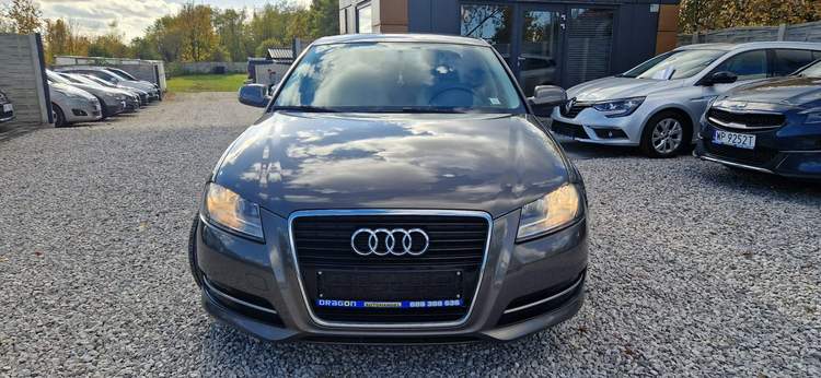 Audi A3 II (8P) facelifting 2 2012 — zdjęcie 16
